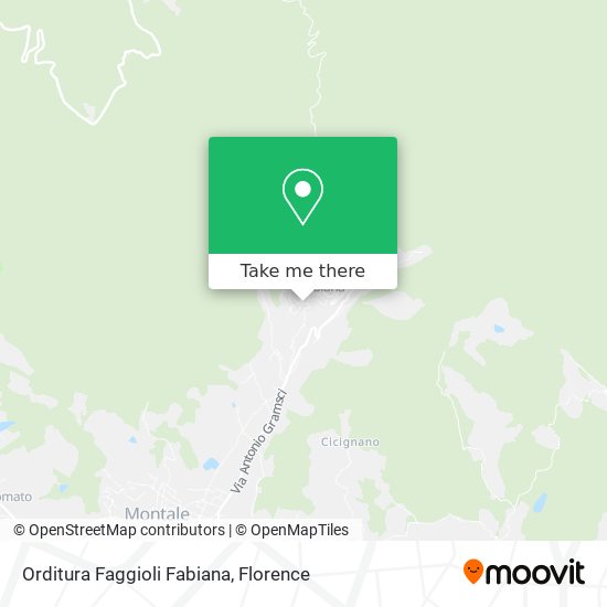 Orditura Faggioli Fabiana map