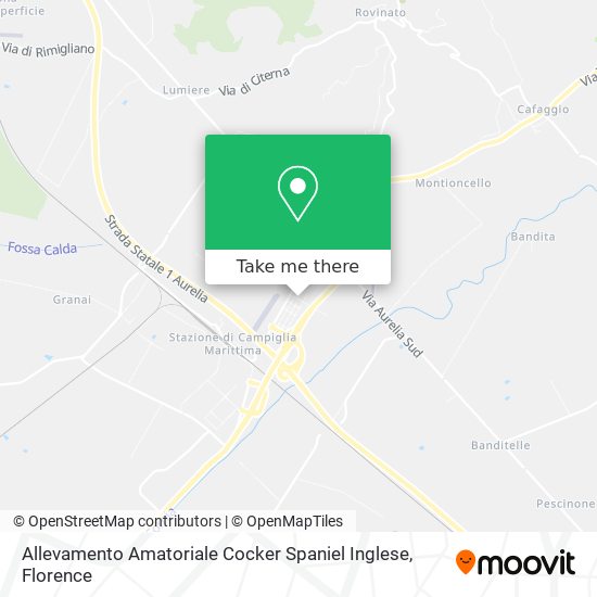 Allevamento Amatoriale Cocker Spaniel Inglese map