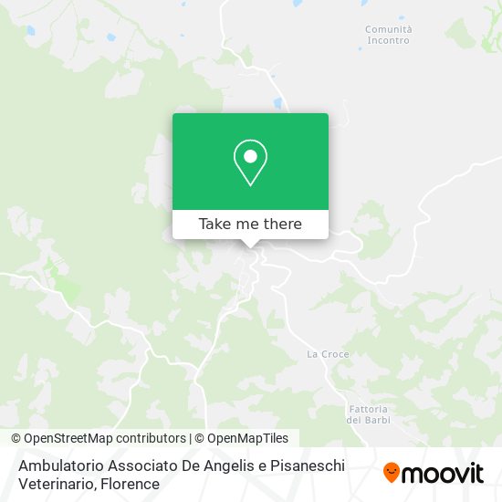 Ambulatorio Associato De Angelis e Pisaneschi Veterinario map