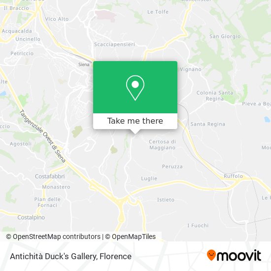 Antichità Duck's Gallery map