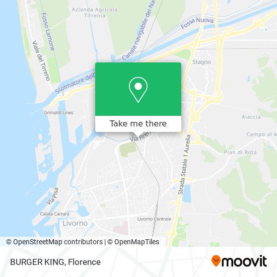 BURGER KING map