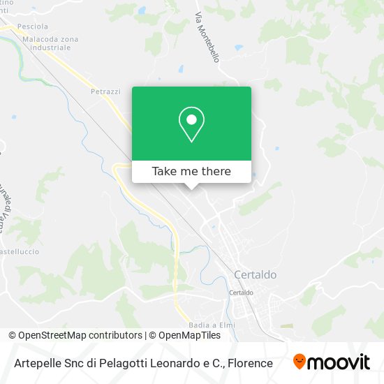 Artepelle Snc di Pelagotti Leonardo e C. map