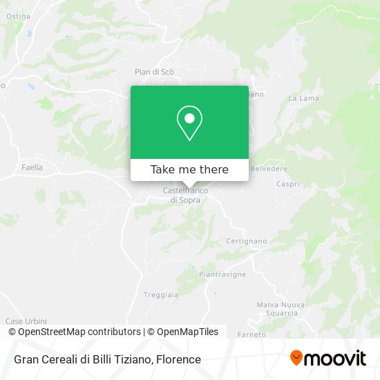 Gran Cereali di Billi Tiziano map