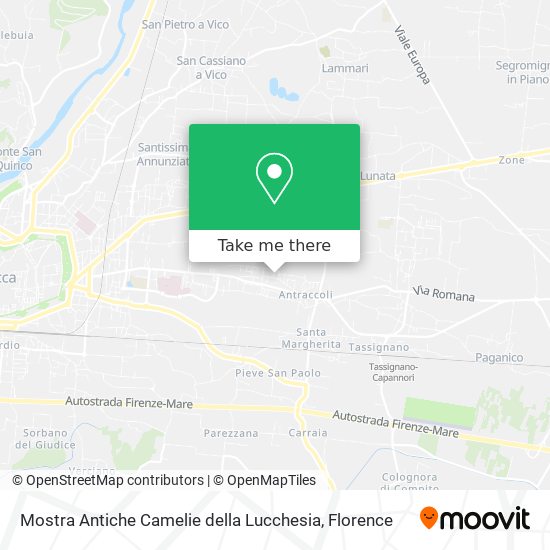 Mostra Antiche Camelie della Lucchesia map
