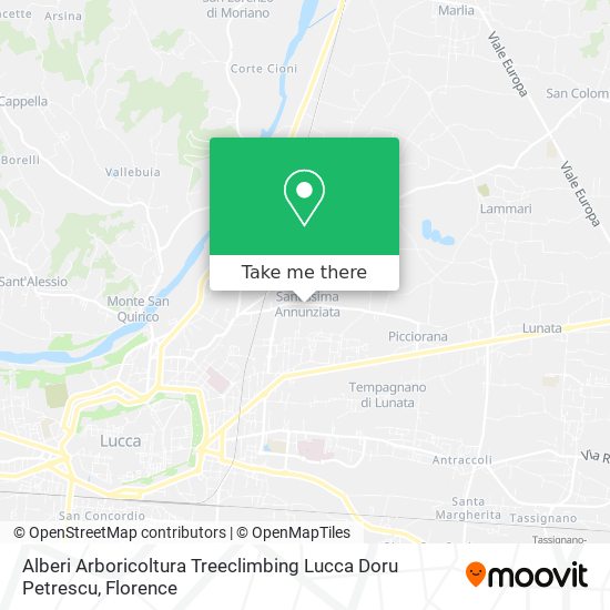 Alberi Arboricoltura Treeclimbing Lucca Doru Petrescu map
