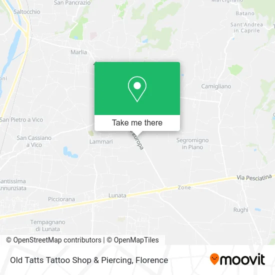 Old Tatts Tattoo Shop & Piercing map