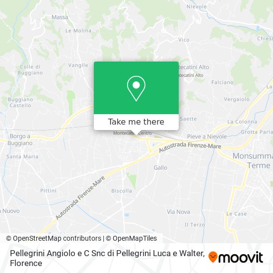 Pellegrini Angiolo e C Snc di Pellegrini Luca e Walter map