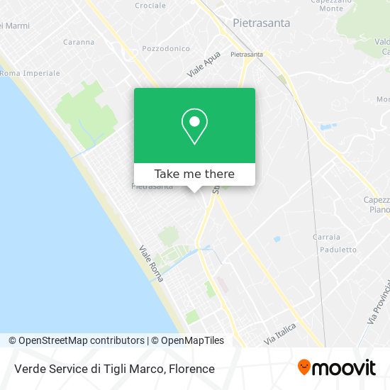 Verde Service di Tigli Marco map