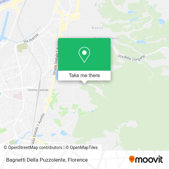 Bagnetti Della Puzzolente map