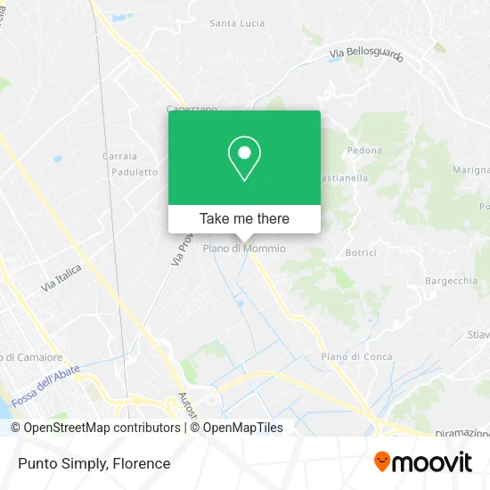 Punto Simply map