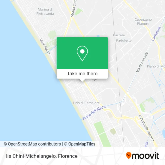 Chini-Michelangelo Institute map