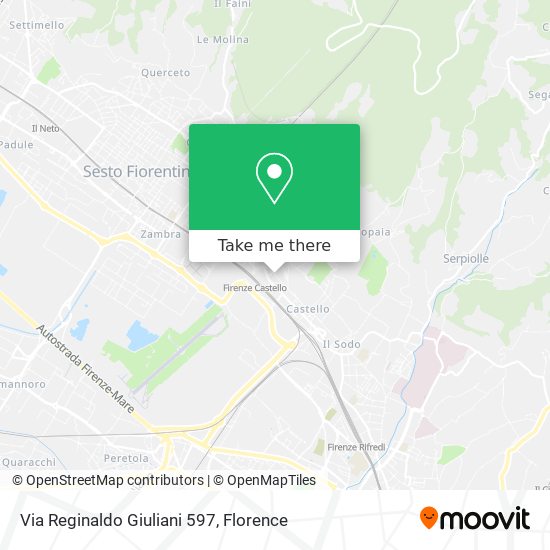 Via Reginaldo Giuliani 597 map
