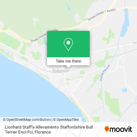 Lionhard Staff's-Allevamento Staffordshire Bull Terrier Enci-Fci map