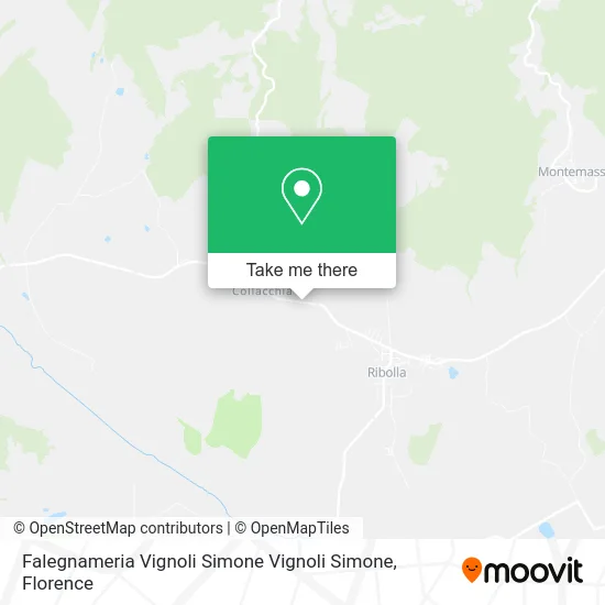 Falegnameria Vignoli Simone Vignoli Simone map
