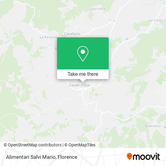 Alimentari Salvi Mario map
