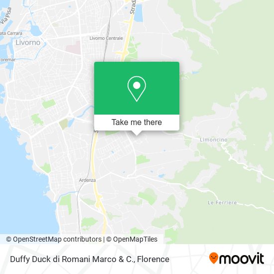 Duffy Duck di Romani Marco & C. map