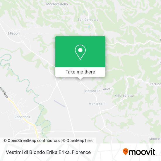 Vestimi di Biondo Erika Erika map