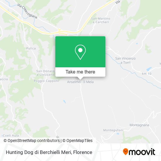 Hunting Dog di Berchielli Meri map