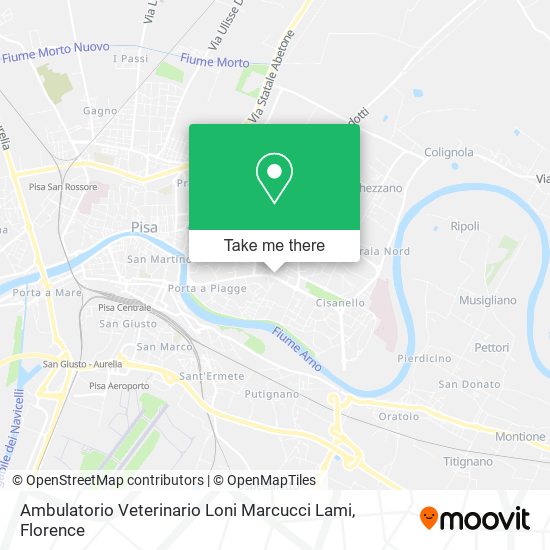 Ambulatorio Veterinario Loni Marcucci Lami map