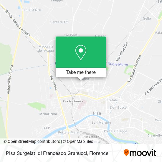 Pisa Surgelati di Francesco Granucci map