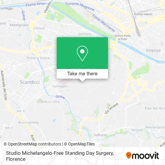 Studio Michelangelo-Free Standing Day Surgery map