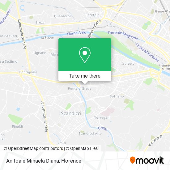 Anitoaie Mihaela Diana map