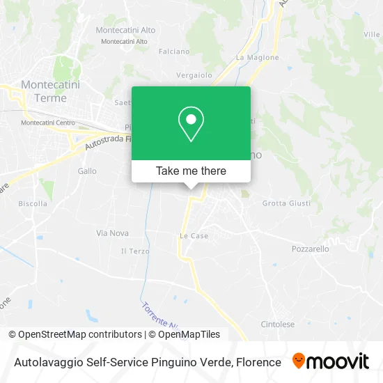 Autolavaggio Self-Service Pinguino Verde map