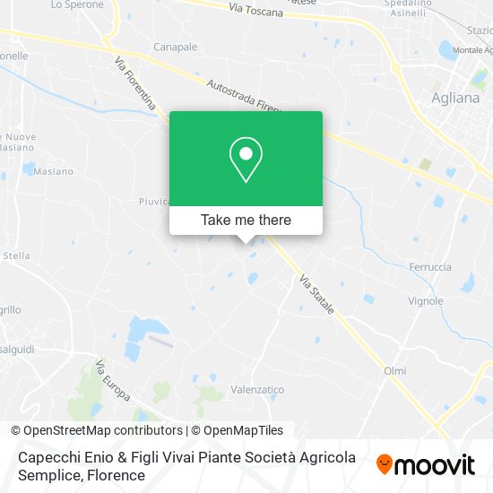 Capecchi Enio & Figli Vivai Piante Società Agricola Semplice map