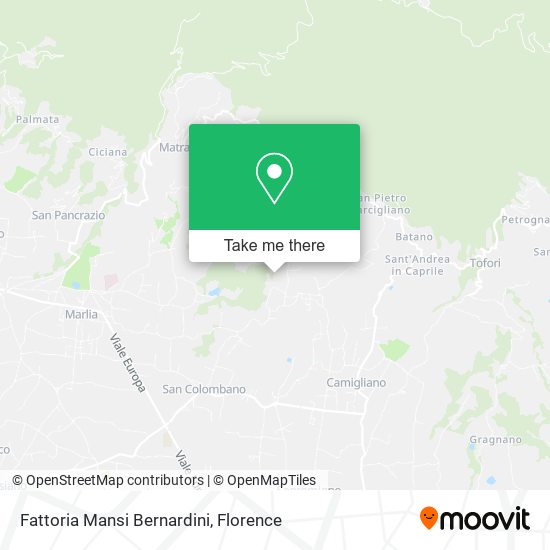 Fattoria Mansi Bernardini map