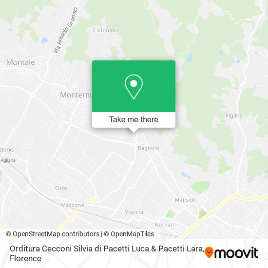 Orditura Cecconi Silvia di Pacetti Luca & Pacetti Lara map