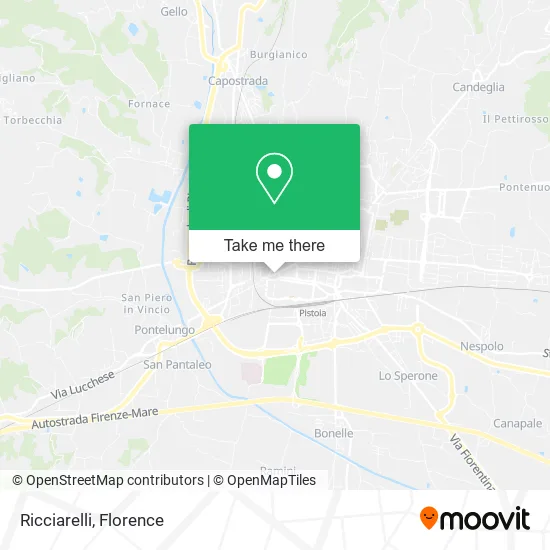 Ricciarelli map