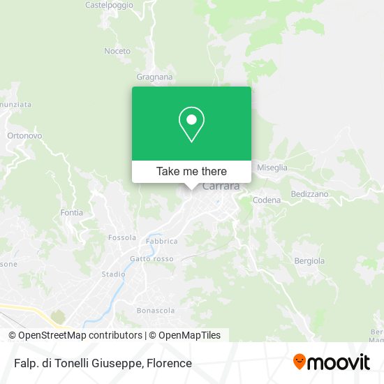 Falp. di Tonelli Giuseppe map