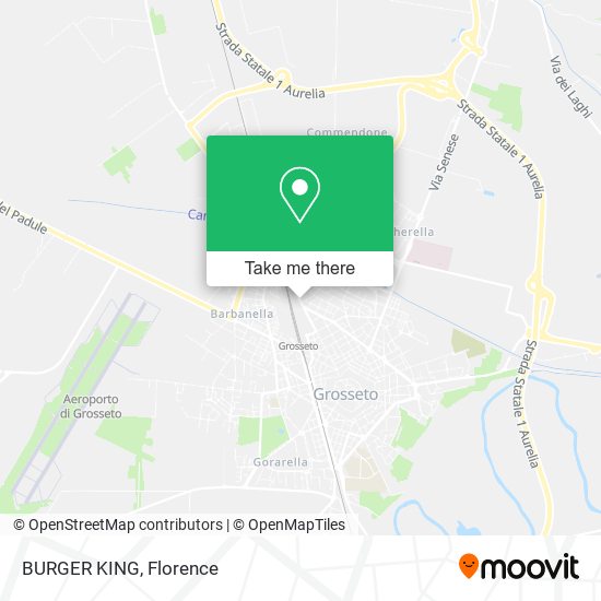 BURGER KING map