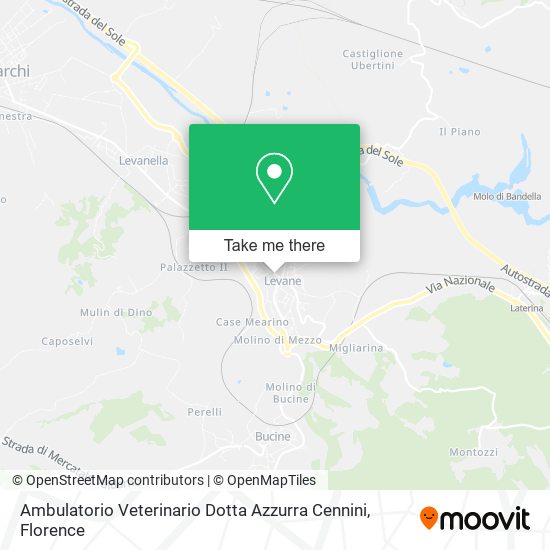 Ambulatorio Veterinario Dotta Azzurra Cennini map