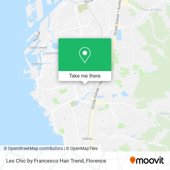 Les Chic by Francesco Hair Trend map