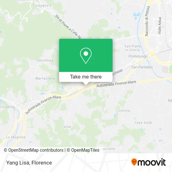 Lisa Yang map