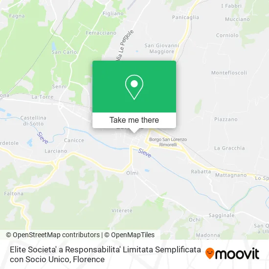 Elite Simplified Limited Liability Company with Single Shareholder map