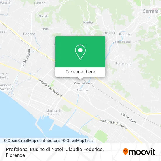 Profeional Busine di Natoli Claudio Federico map