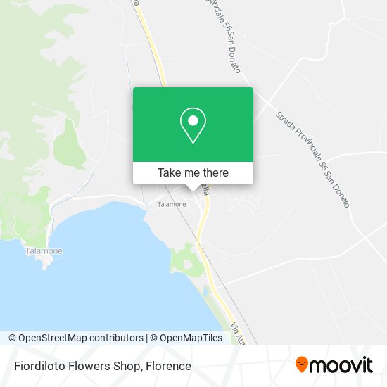 Fiordiloto Flowers Shop map