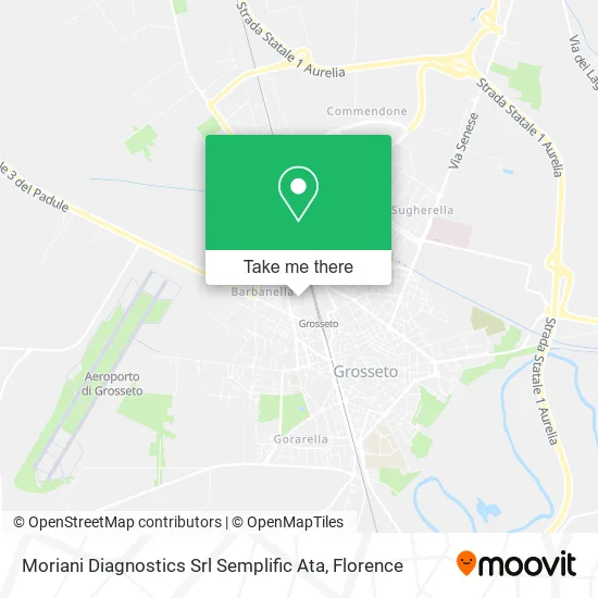 Moriani Diagnostics Simplified Srl map