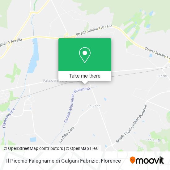 Il Picchio Falegname di Galgani Fabrizio map