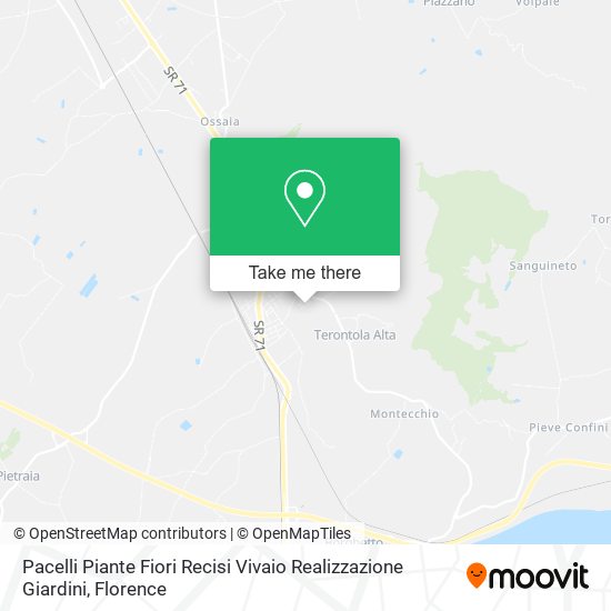 Pacelli Piante Fiori Recisi Vivaio Realizzazione Giardini map