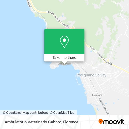 Ambulatorio Veterinario Gabbro map