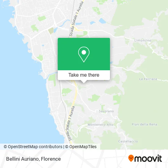 Auriano Bellini map