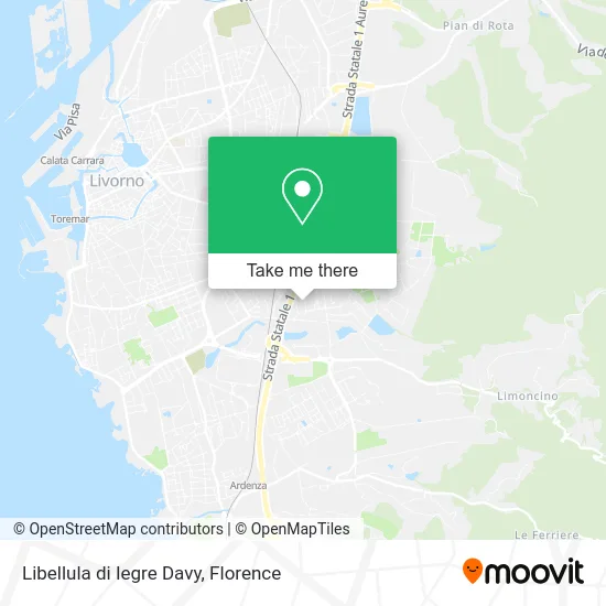 Libellula di Iegre Davy map