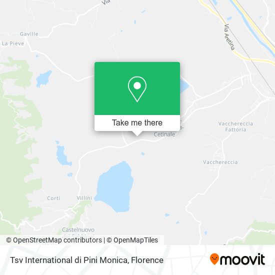 Tsv International di Pini Monica map