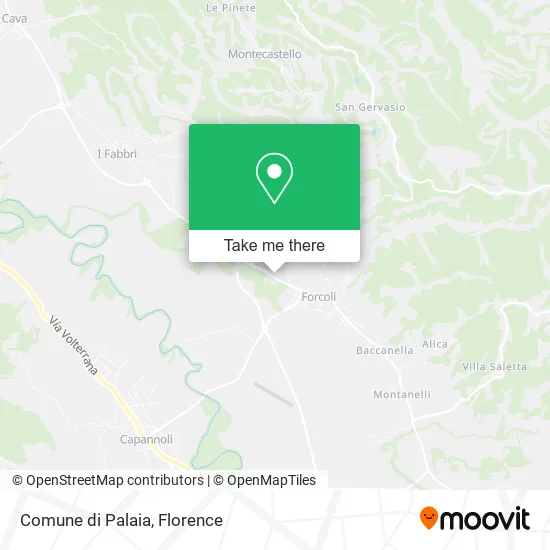 Comune di Palaia map
