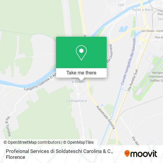 Profeional Services di Soldateschi Carolina & C. map