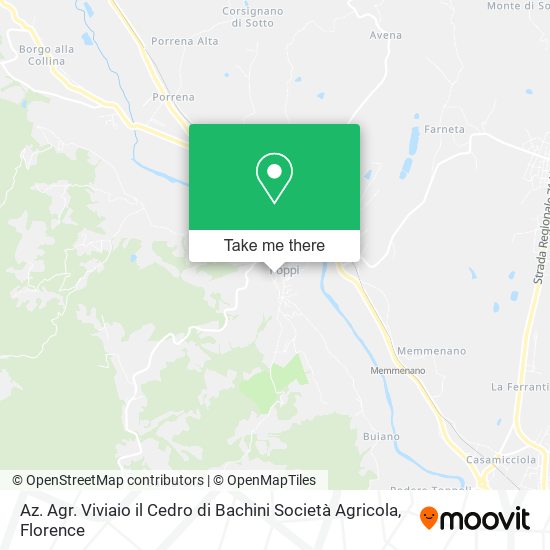 Az. Agr. Viviaio il Cedro di Bachini Società Agricola map