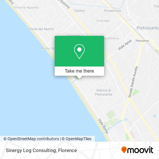 Sinergy Log Consulting map